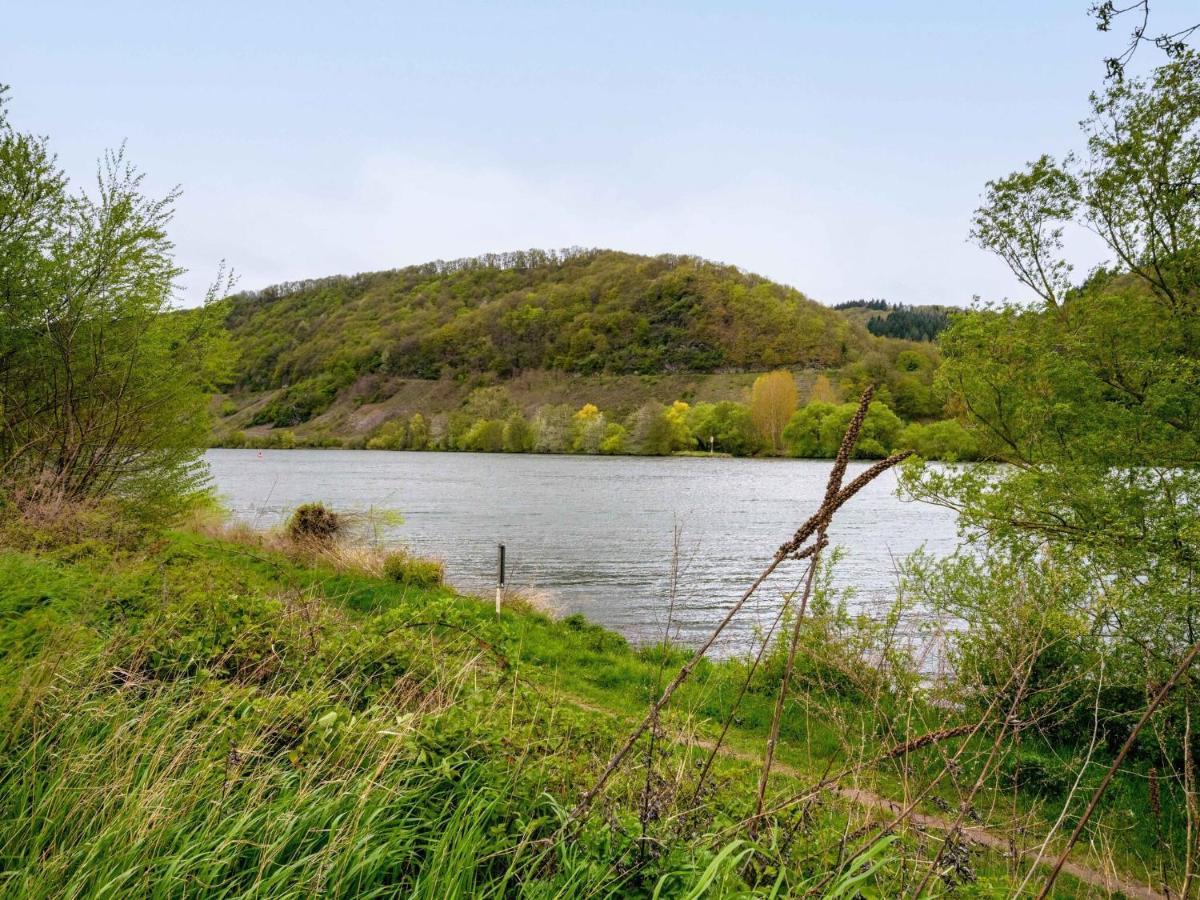 Restful Apartment In Neumagen Near River Moselle エクステリア 写真
