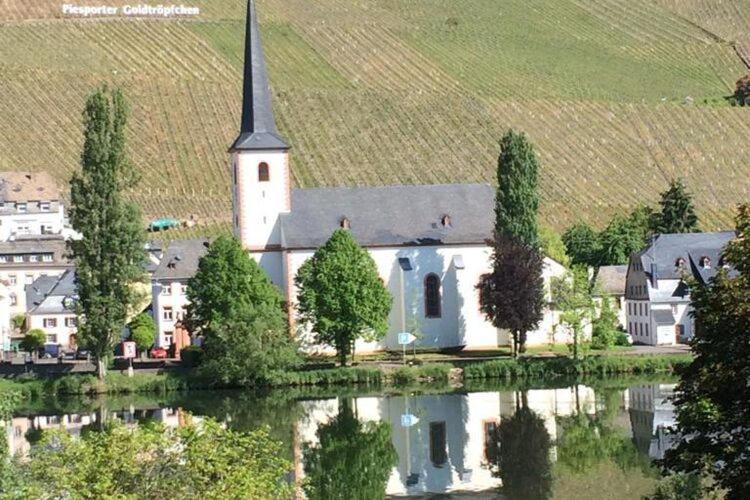 Restful Apartment In Neumagen Near River Moselle エクステリア 写真